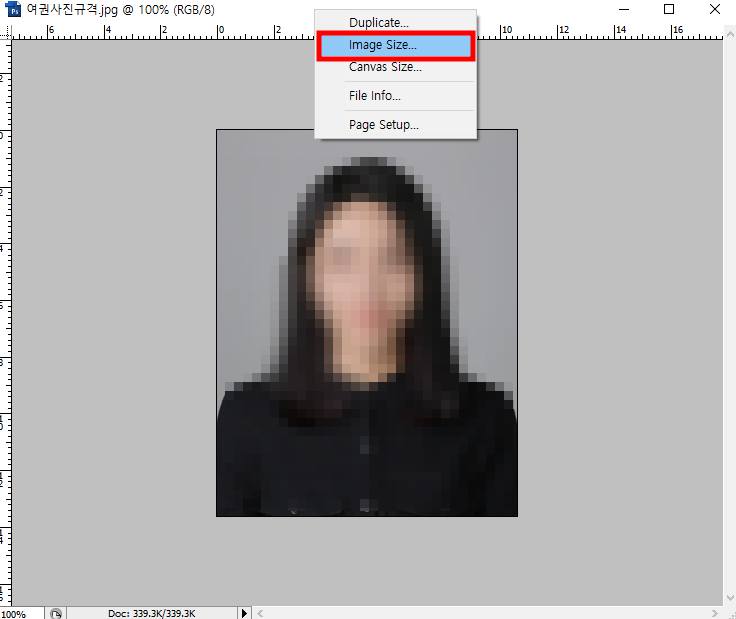 여권 사진 규격 맞추기