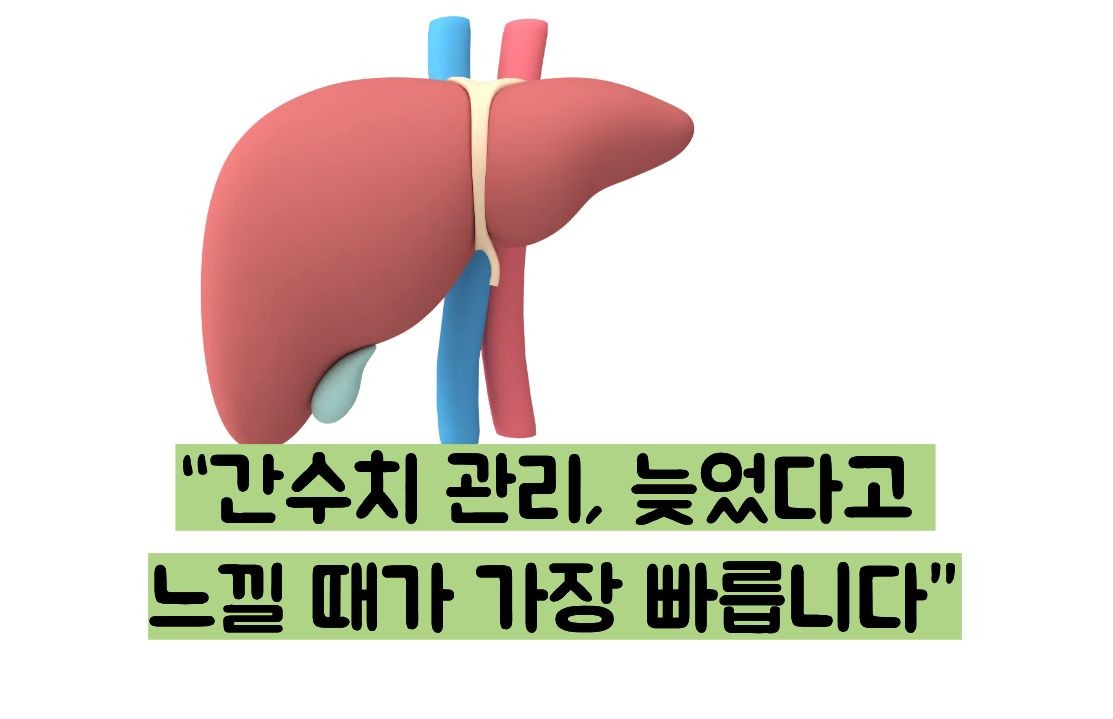 간수치 내리는 방법