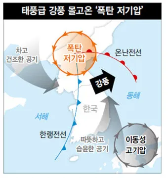 봄철 강풍 꽃가루 농도 알레르기 마스크 관리_8