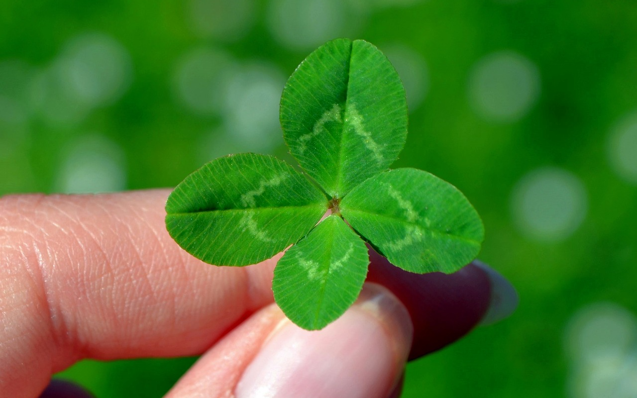 삶이 지칠 때, 위로가 되는 명언