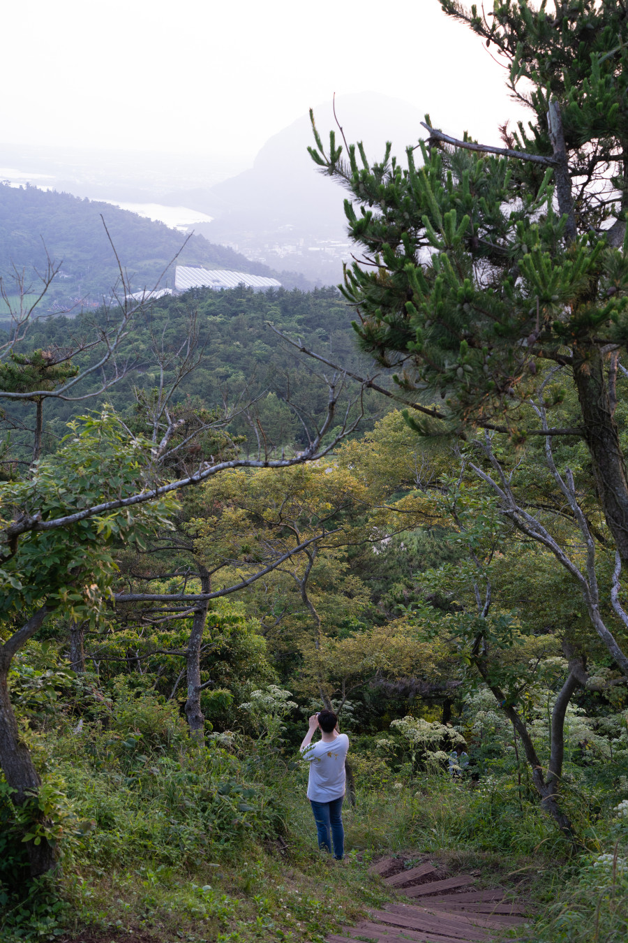 군산 오름 올라가는길