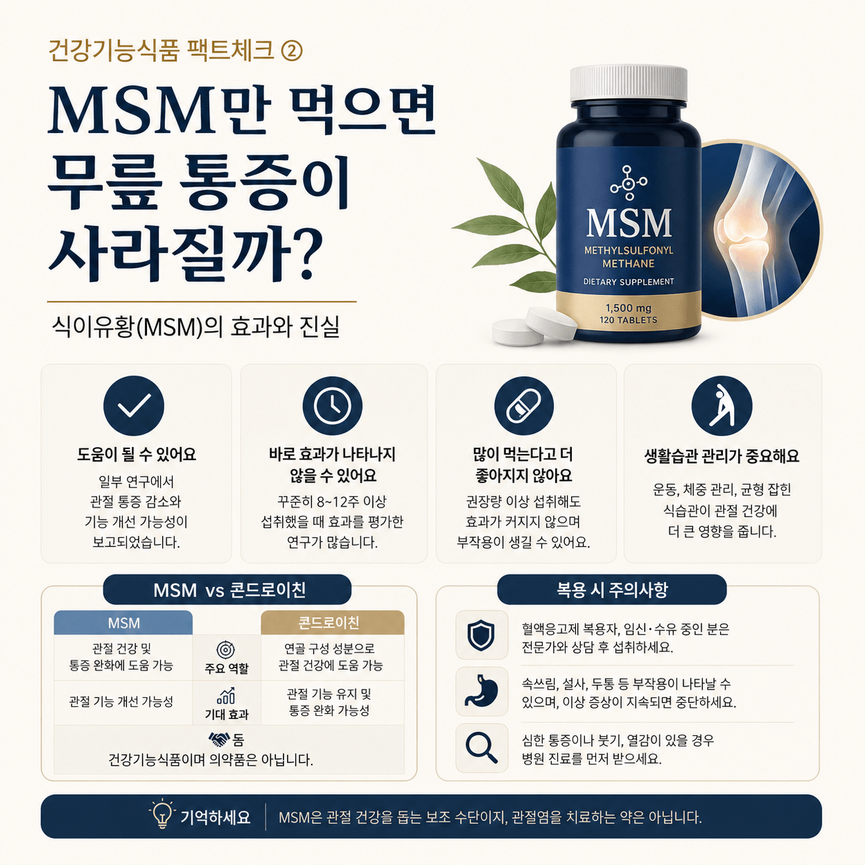 MSM(식이유황)의 효과와 부작용, 관절 건강에 대한 실제 연구 결과와 복용 시 주의사항을 요약한 인포그래픽