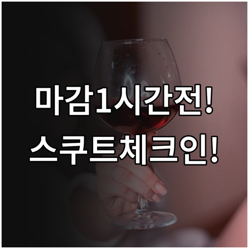 인천공항 스쿠트 항공 체크인 마감 1..