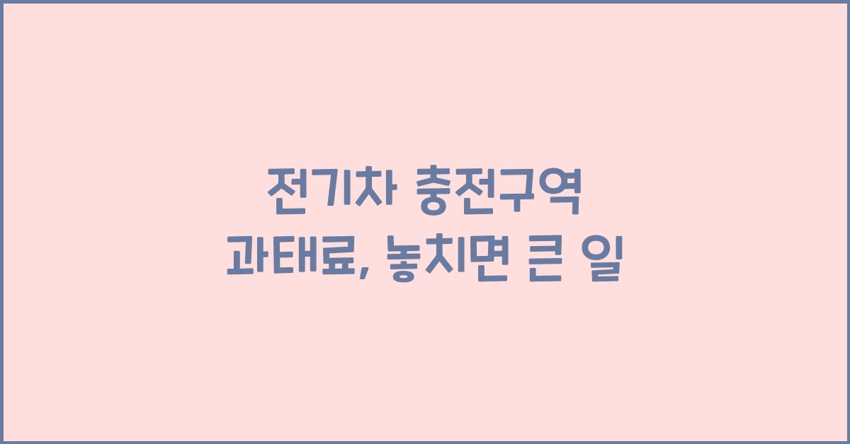 전기차 충전구역 과태료