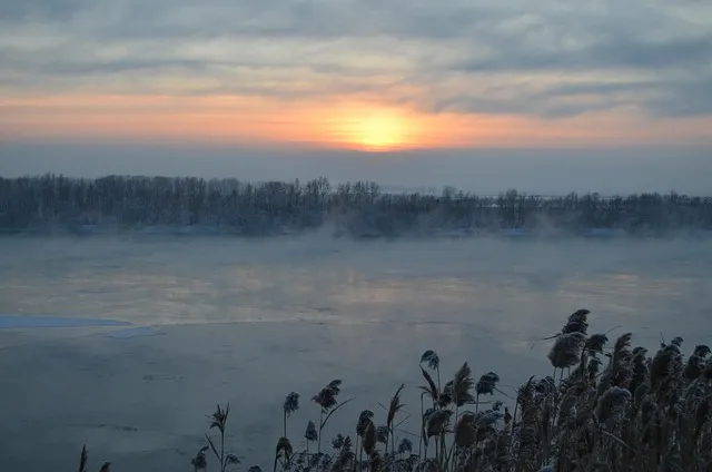 화분 겨울철 관리 난방건조 습도유지 물주기간격 조절 식물등보조_7