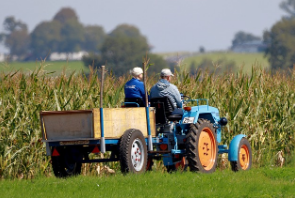 새마을운동이란? 1970년대 한국 농촌개발 성공사례 총정리