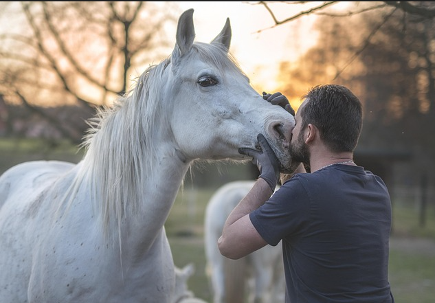 중년의 승마 활동