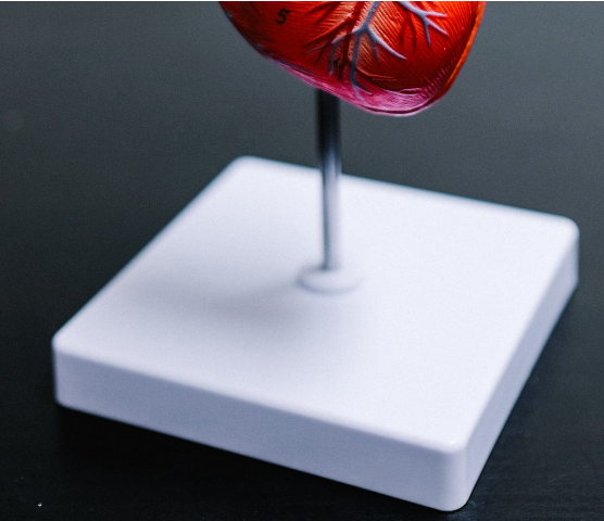 심근경색 초기증상 (심근경색 이란?)