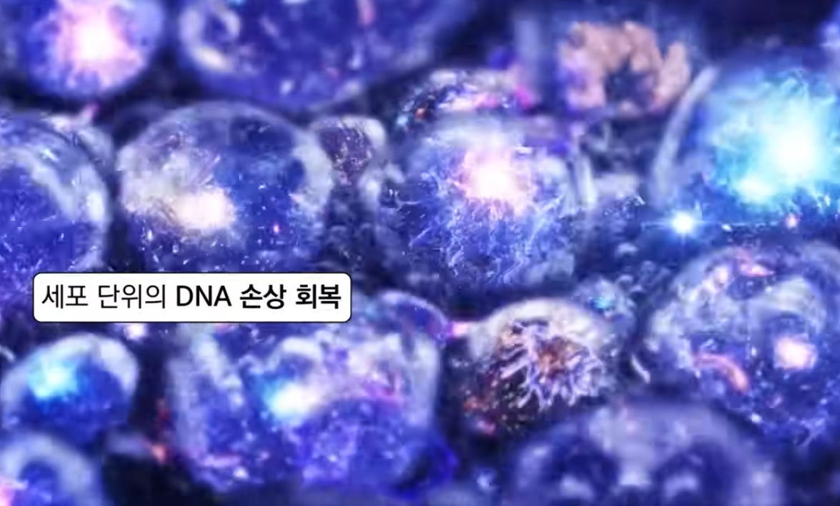NMN과 NAD+