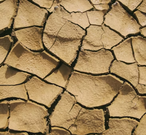 건조증 증상 피부 안구 코 구강 원인 치료법