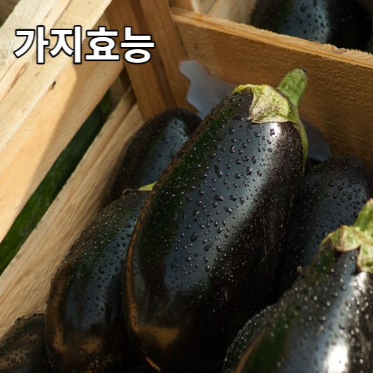 가지