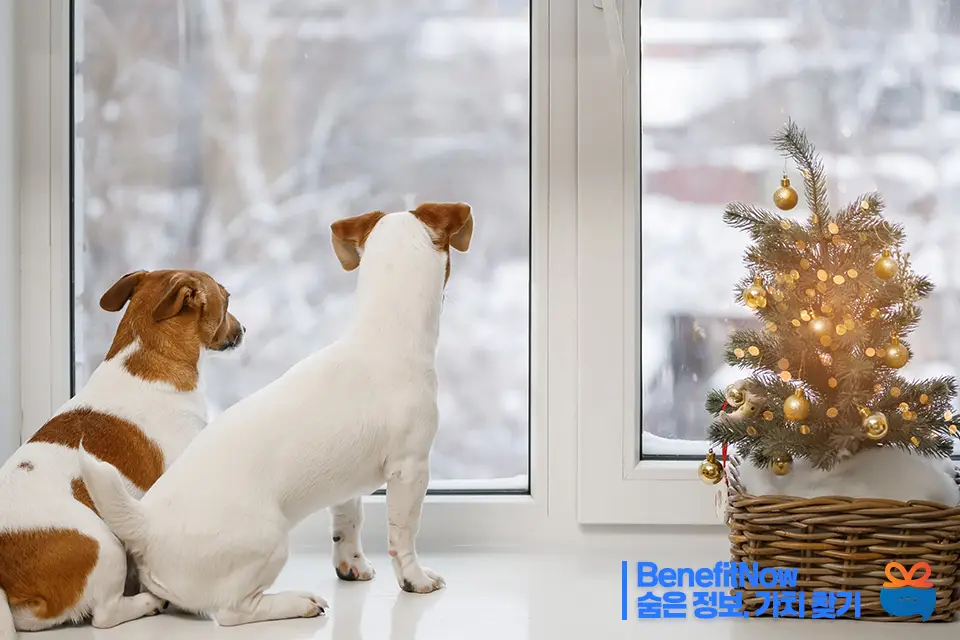 에너지 바우처 신청방법
