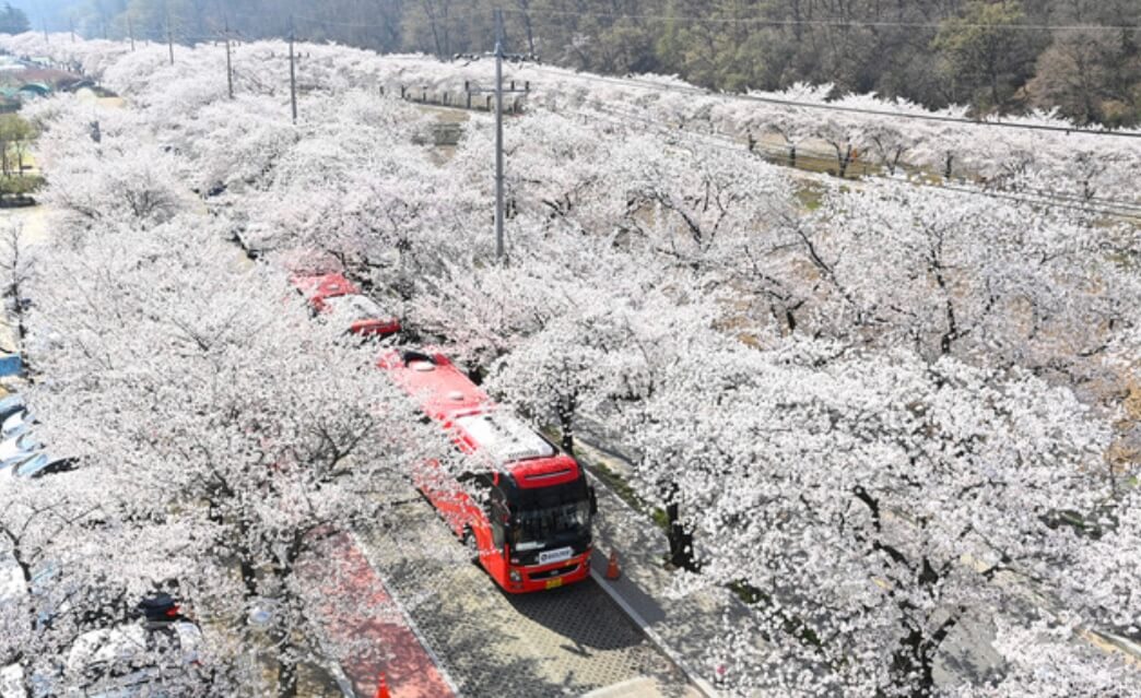 비슬산 등산코스