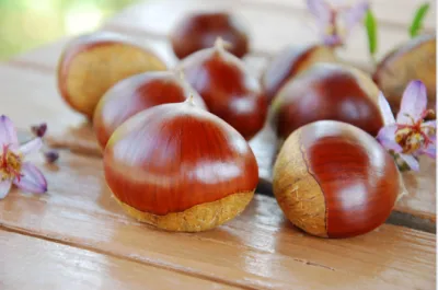 가을 제철음식 밤 효능과 영양성분