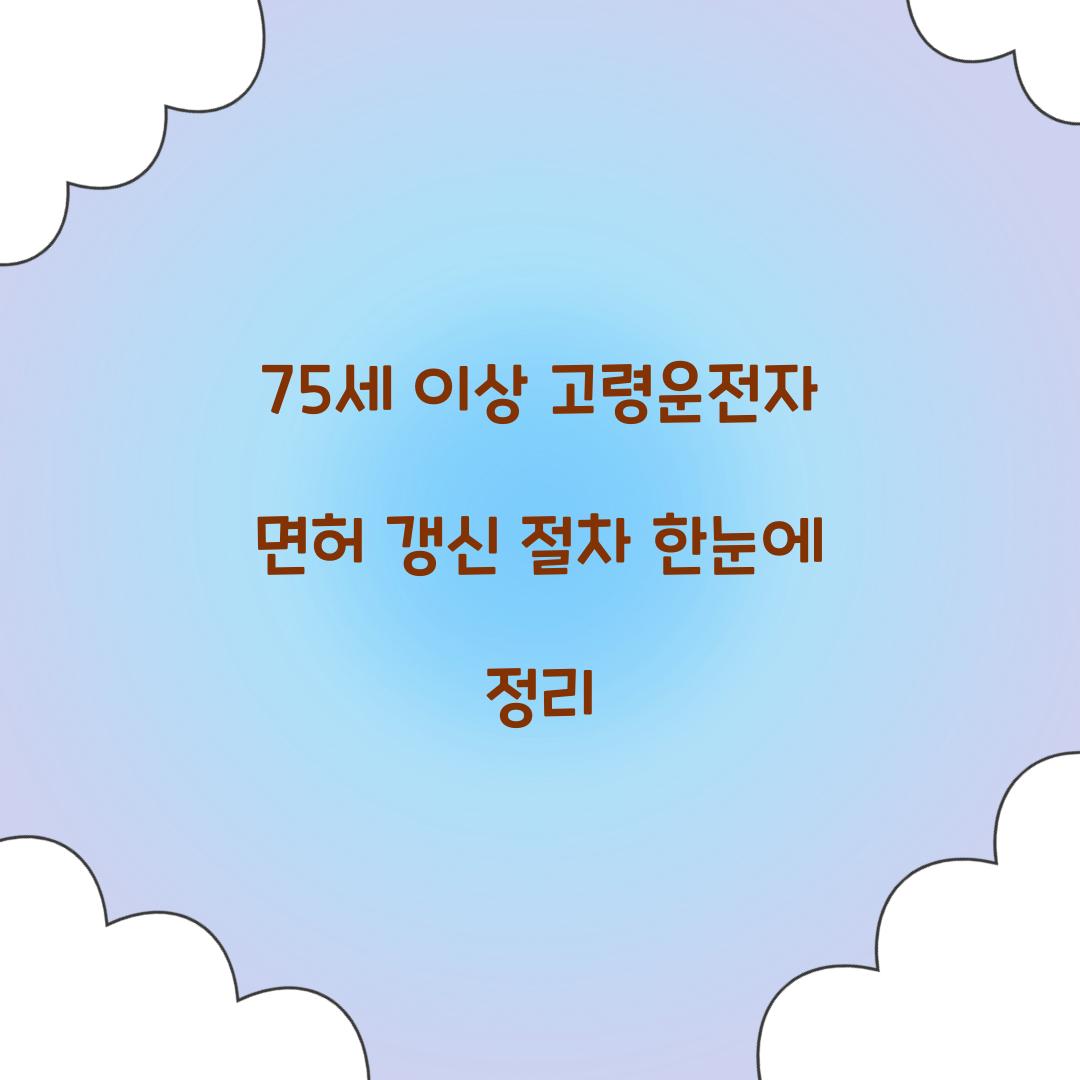 75세 이상 고령운전자