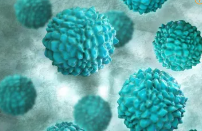 노로바이러스 전파경로