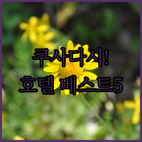 성공적인 쿠사다시 여행을 위한 베스트..