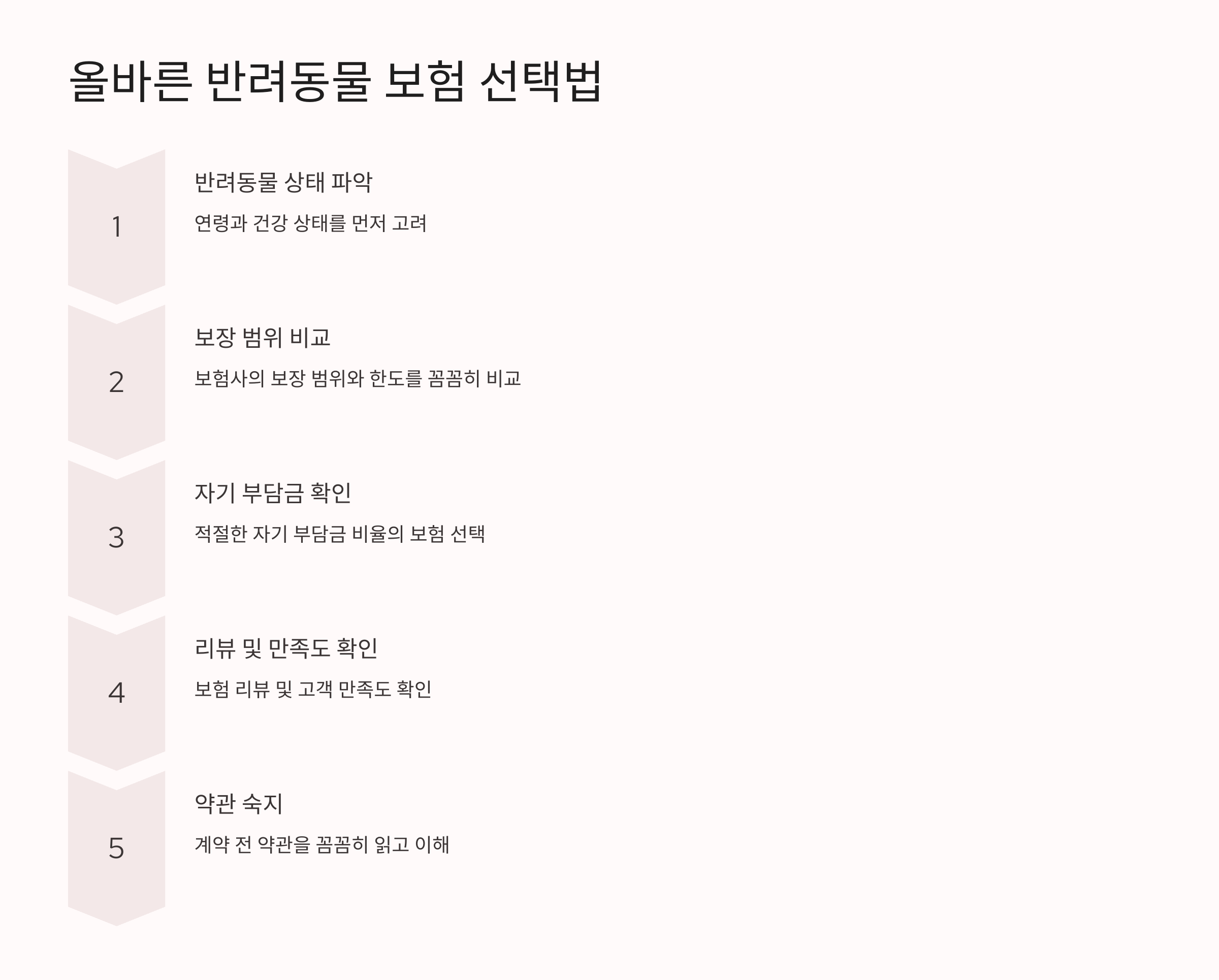 올바른 반려동물 보험 선택법