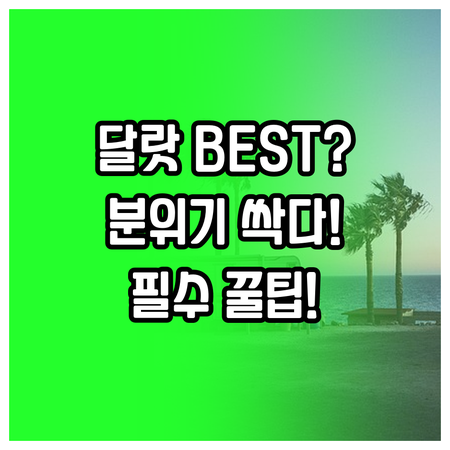 달랏 숙소 5곳 위치 분위기 후기 완..