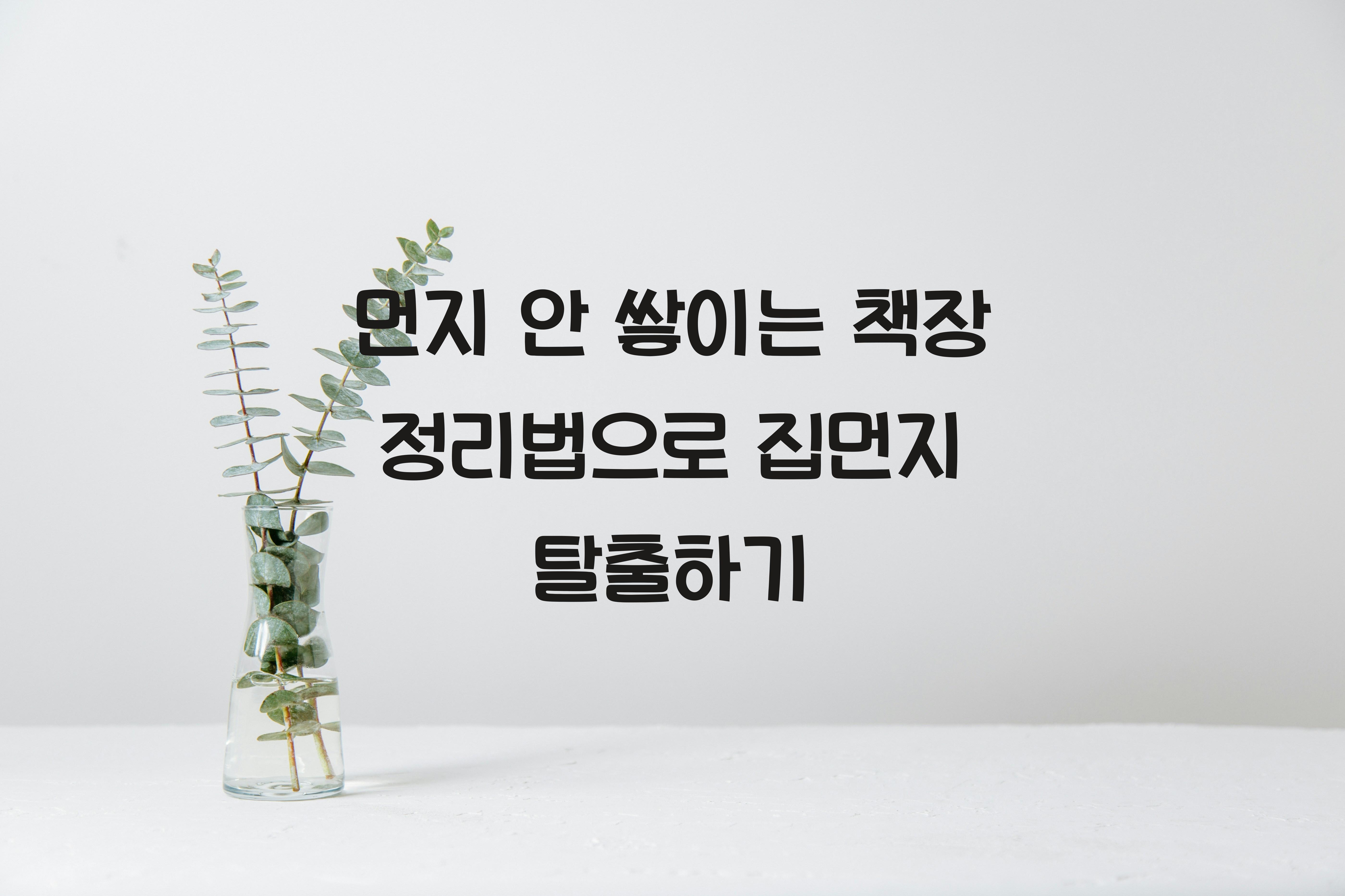 먼지 안 쌓이는 책장 정리법