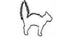 꼬리텰이 부푼 고양이 이미지