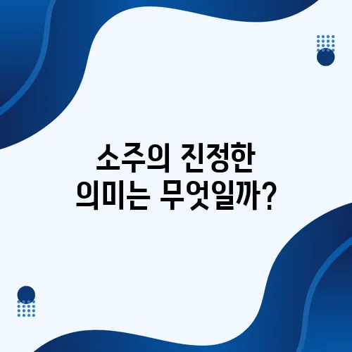 소주의 진정한 의미는 무엇일까?
