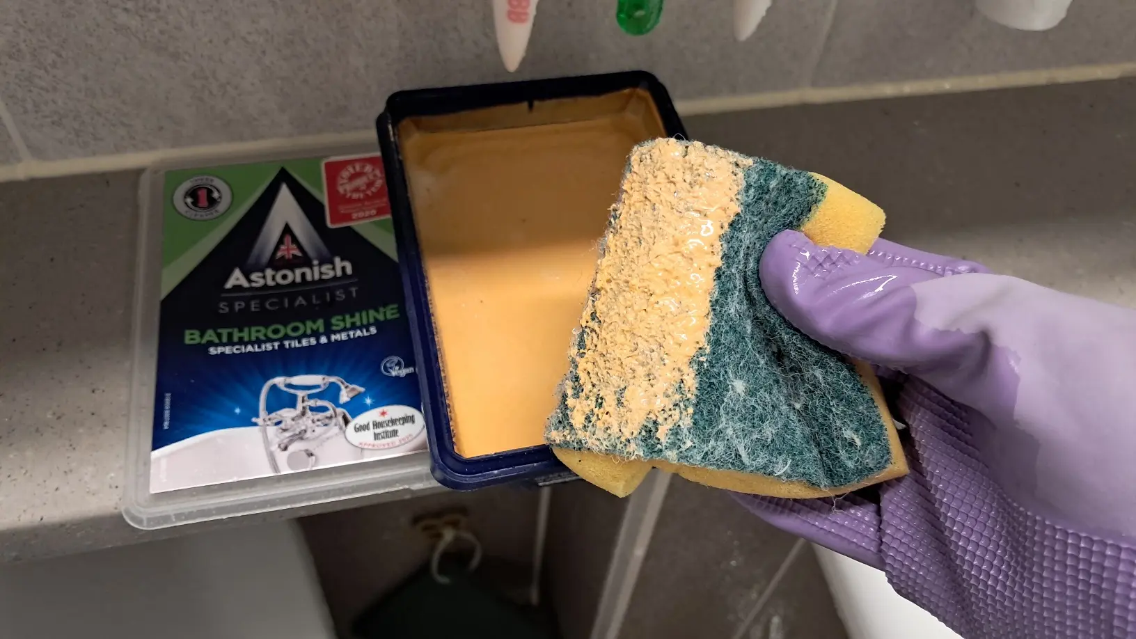 아스토니쉬-수세미