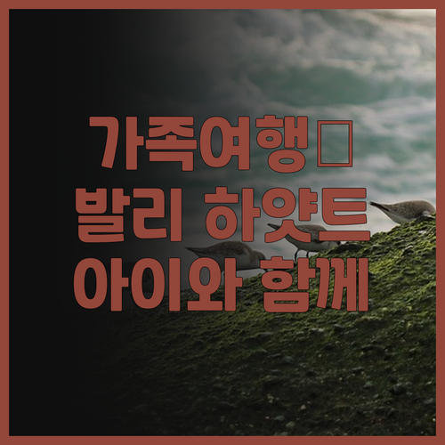 가족 여행객 주목! 그랜드 하얏트 발..