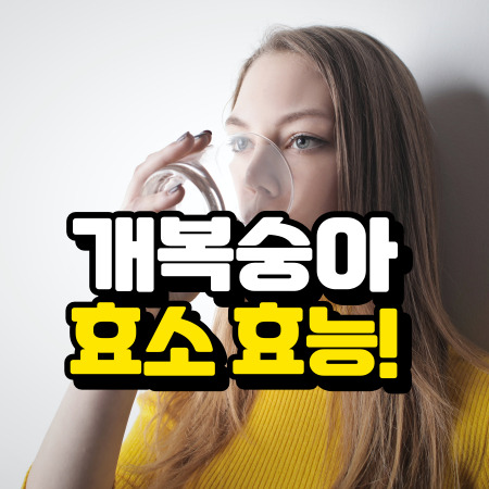 개복숭아 효소 효능