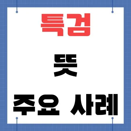 특검