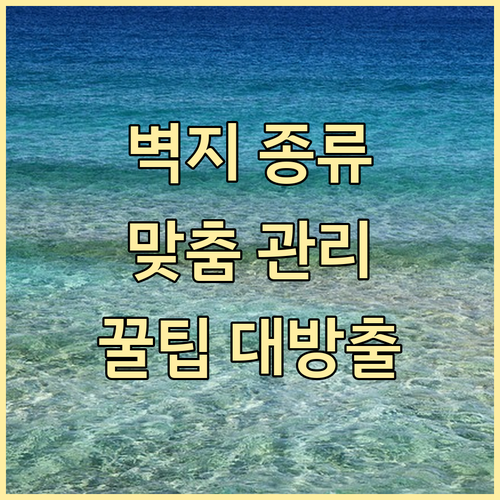 벽지 종류별 맞춤 관리법: 실크, 합