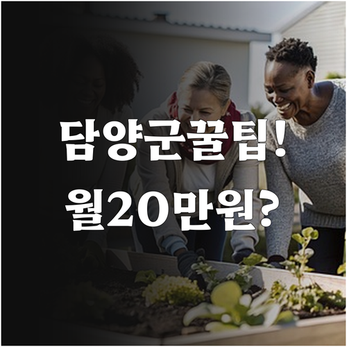 담양군 청년월세 지원 월 20만원 받..