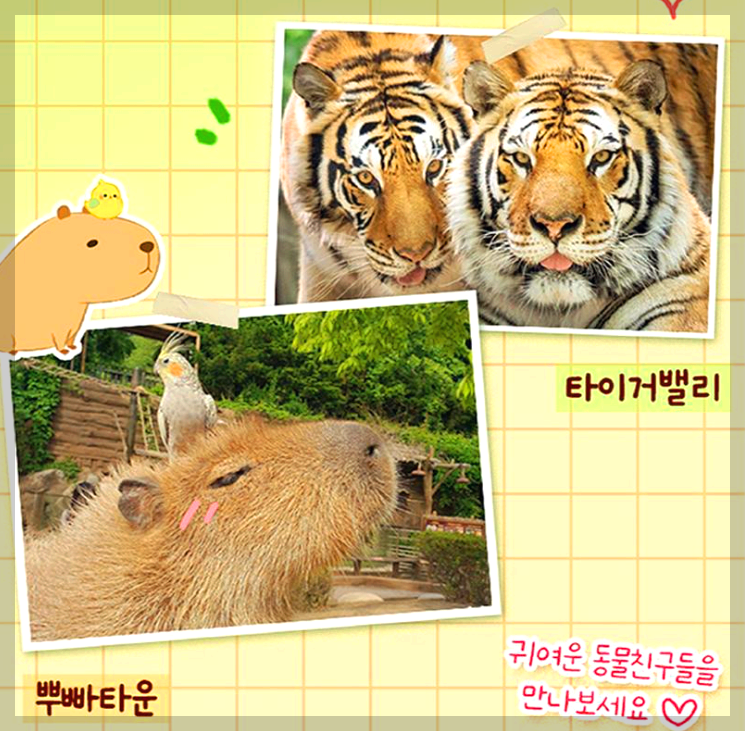 에버랜드