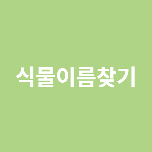 식물이름찾기