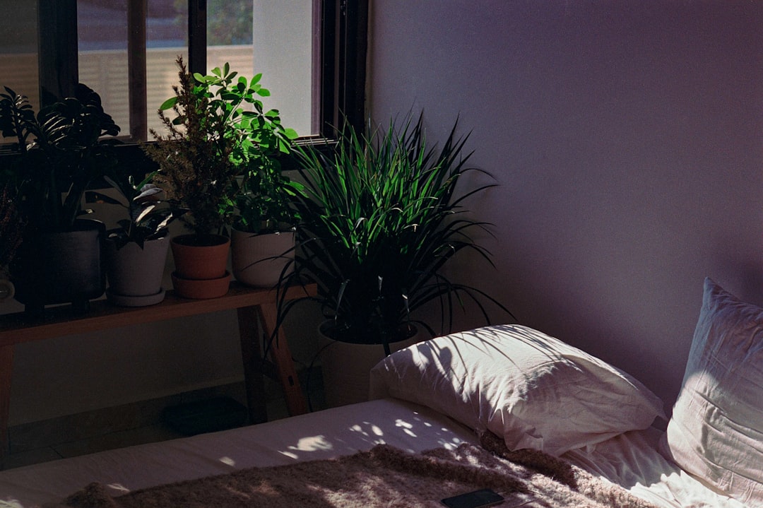 'Hospice'