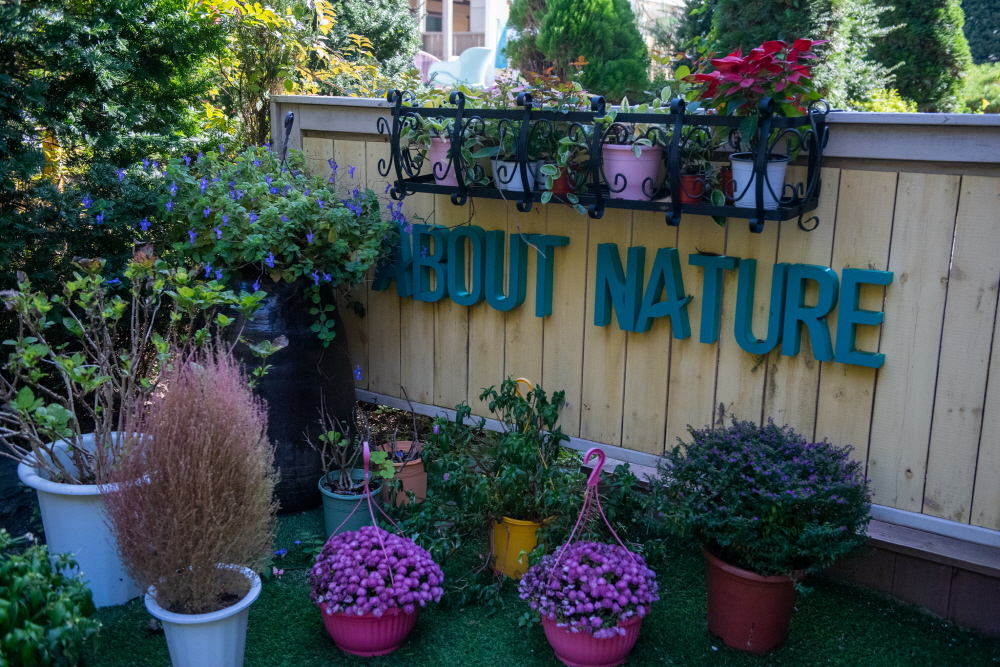 이천 대형 카페 어바웃 네이처