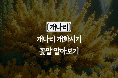 개나리 개화시기