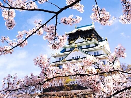 오사카&amp;#44; 도쿄 벚꽃 명소