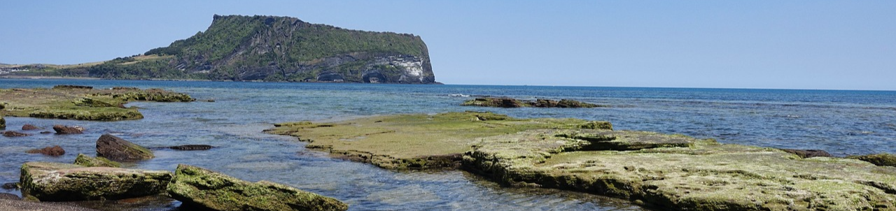 제주도탈것- 테마파크