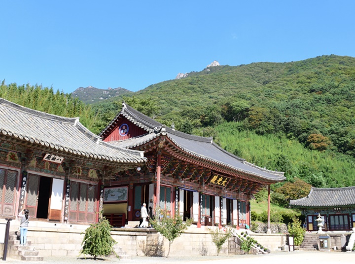 밀양 가볼만한곳