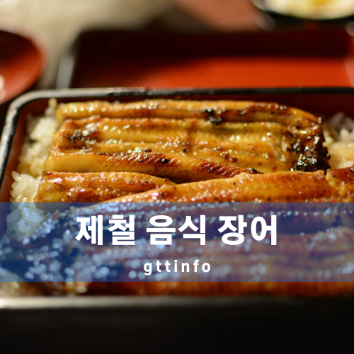 장어의 효능