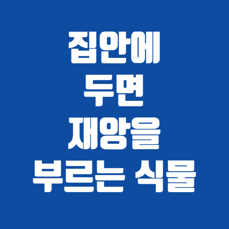 집안에 두면 재앙을 부르는 식물