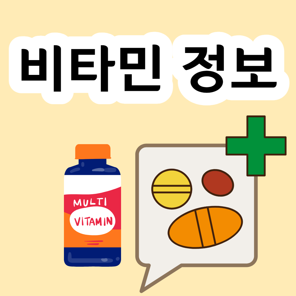 비타민 정보