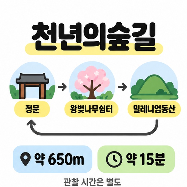 천년의숲길의 정문, 왕벚나무쉼터, 밀레니엄동산을 순환 화살표로 연결하고 약 650m, 약 15분 및 관찰 시간 별도를 표시한 코스 도식