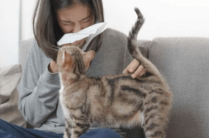 코 옆을 누르면 아프다