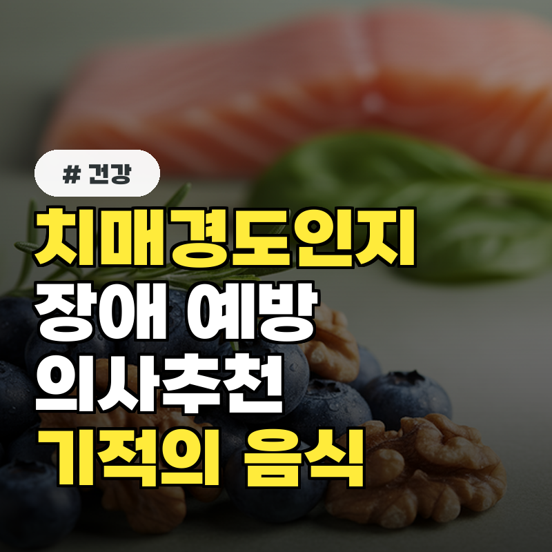 치매 경도인지장애 예방하는 의사가 추천한 기적의 음식 TOP 5