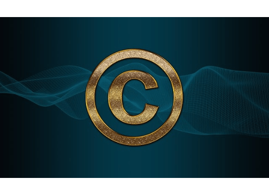 리뷰 채널의 악플관련 문제와 저작권 문제 대응 방안