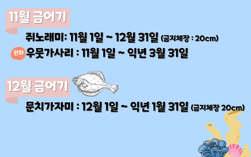 금어기8