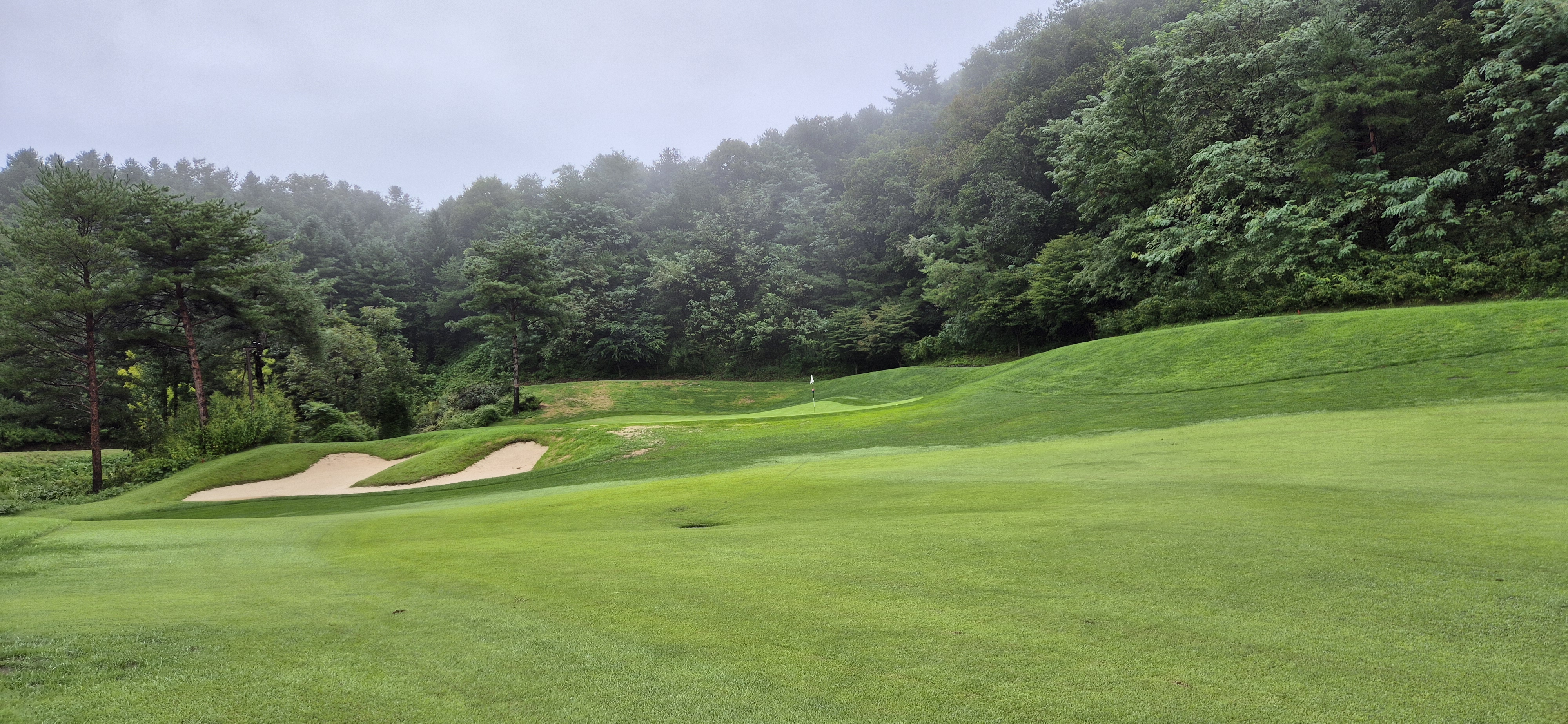 더플레이어스cc