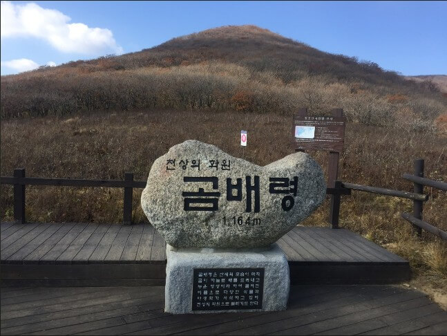 곰배령-정상부
